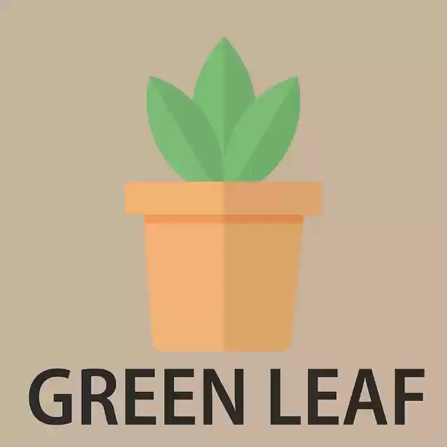 Free download Green Nature LeafFree vector graphic on Pixabay free illustration to be edited with GIMP online image editor