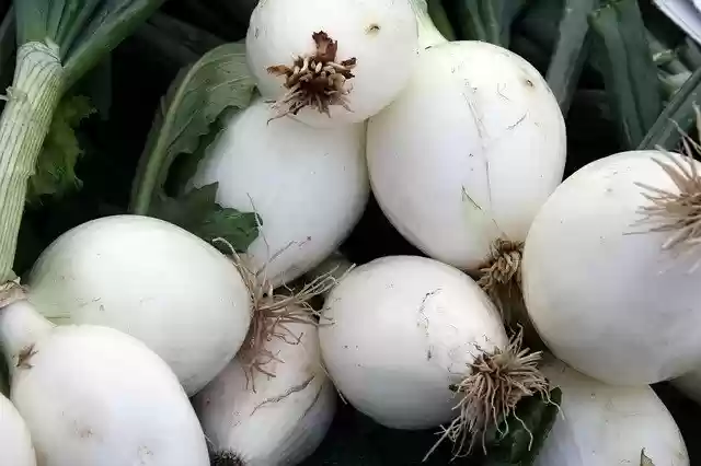 Free download Green Onions Farmers free photo template to be edited with GIMP online image editor