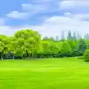 Green park and green lawn  screen for extension Chrome web store in OffiDocs Chromium