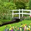 Green park, white bridge  screen for extension Chrome web store in OffiDocs Chromium