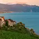 Green riverside house  screen for extension Chrome web store in OffiDocs Chromium