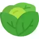 GreenScreen  screen for extension Chrome web store in OffiDocs Chromium