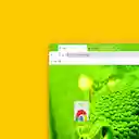 Green snake  screen for extension Chrome web store in OffiDocs Chromium