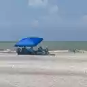 Green tent on the beach  screen for extension Chrome web store in OffiDocs Chromium