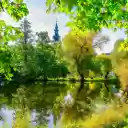 Green trees around the lake  screen for extension Chrome web store in OffiDocs Chromium