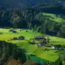 Green village  screen for extension Chrome web store in OffiDocs Chromium