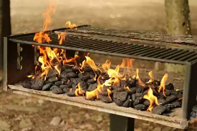 Free download Grill Cooking Fire -  free photo or picture to be edited with GIMP online image editor