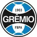 Grêmio Guerreiro  screen for extension Chrome web store in OffiDocs Chromium