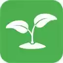 Growman: schermata IG Email Extractor per l'estensione Chrome web store in OffiDocs Chromium