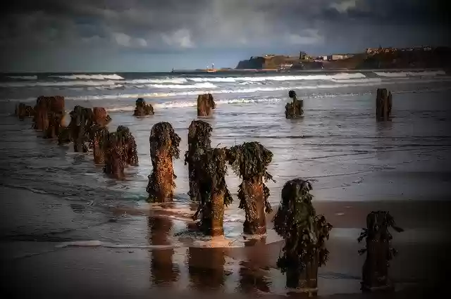 Free download Groynes Water Seaside -  free photo or picture to be edited with GIMP online image editor
