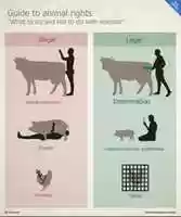 Free download Guide to animal rights - infographic free photo or picture to be edited with GIMP online image editor