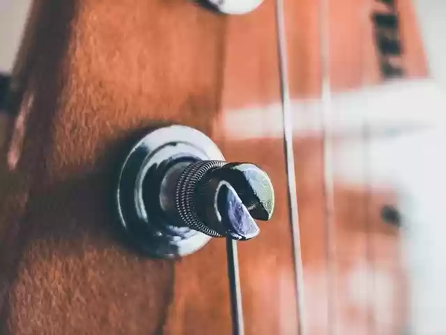 Free download Guitar Electric Macro -  free photo or picture to be edited with GIMP online image editor