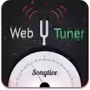 Guitar Tuner for Chrome  screen for extension Chrome web store in OffiDocs Chromium