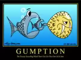 Free download Gumption free photo or picture to be edited with GIMP online image editor