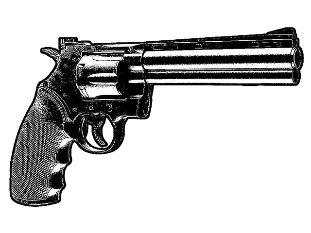 Free download Gun Guns Pistol -  free illustration to be edited with GIMP free online image editor