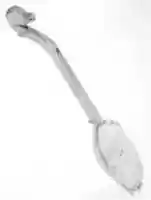 הורד בחינם תמונה או תמונה של Gusle לעריכה עם עורך התמונות המקוון GIMP