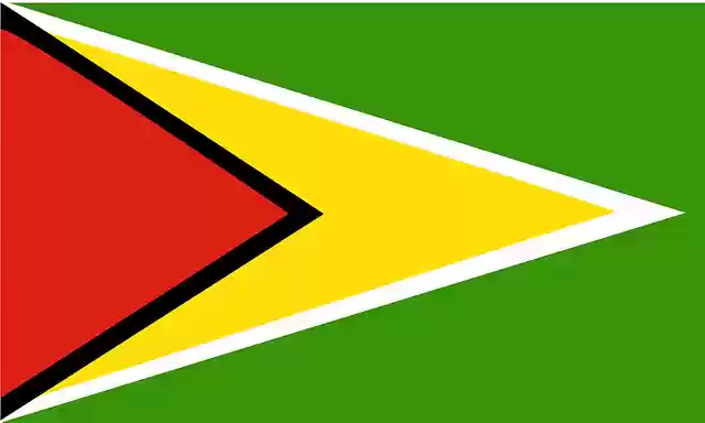 Free download Guyana Flag Country - Free vector graphic on Pixabay free illustration to be edited with GIMP free online image editor