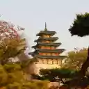 Gyeongbokgung Palace Amidst Verdant Foliage  screen for extension Chrome web store in OffiDocs Chromium