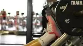 Free download Gym Fitness Legs Leg free video to be edited with OpenShot online video editor