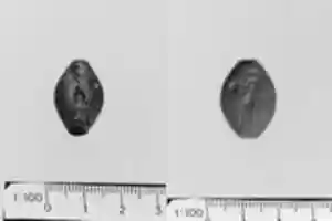 Free download Haematite amygdaloid seal free photo or picture to be edited with GIMP online image editor