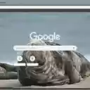 Hai cau xam  screen for extension Chrome web store in OffiDocs Chromium