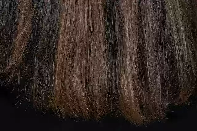무료 다운로드 헤어 브라운 여성 - GIMP 온라인 이미지 편집기로 편집할 수 있는 무료 사진 또는 그림