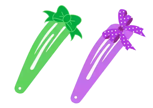 Free download Hair Clip Accessories Fashion -  free illustration to be edited with GIMP free online image editor