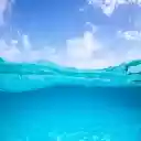Half Underwater Wallpaper Theme  screen for extension Chrome web store in OffiDocs Chromium