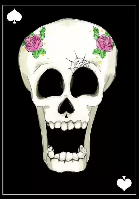 Free download Halloween Death Skull Santa -  free illustration to be edited with GIMP free online image editor
