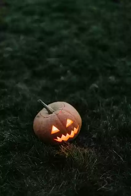 Free download halloween lantern carved pumpkin free picture to be edited with GIMP free online image editor