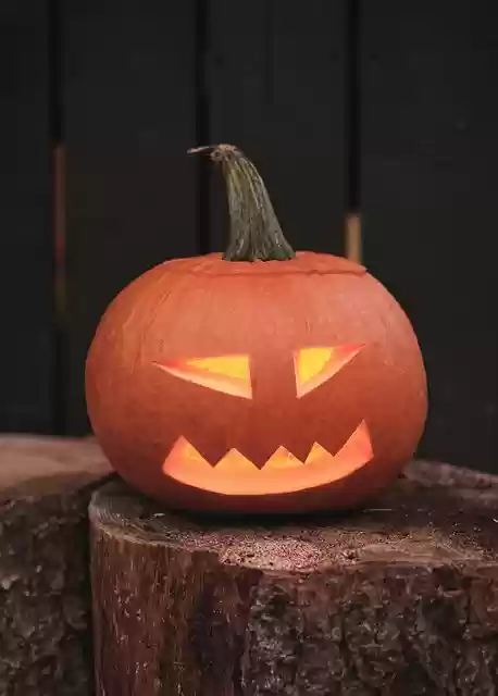 Free download halloween pumpkin jack o lantern free picture to be edited with GIMP free online image editor