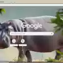 Ha Ma  screen for extension Chrome web store in OffiDocs Chromium
