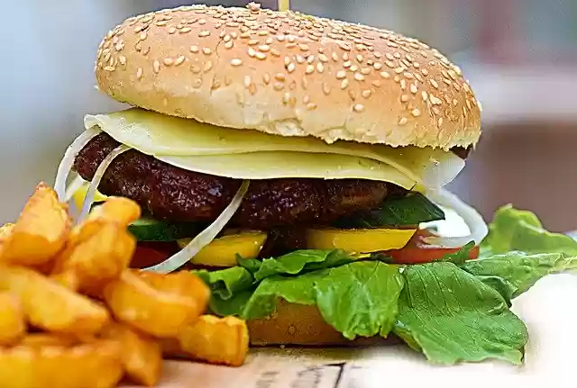 Free download Hamburger Food Burger -  free photo or picture to be edited with GIMP online image editor