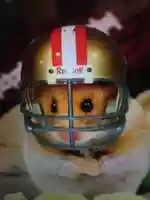 Free download hamster! free photo or picture to be edited with GIMP online image editor