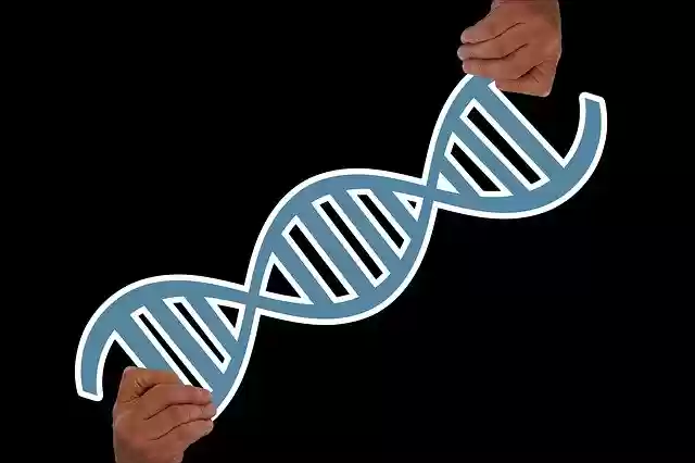 Free download Hand Keep Deoxyribonucleic Acid -  free photo or picture to be edited with GIMP online image editor