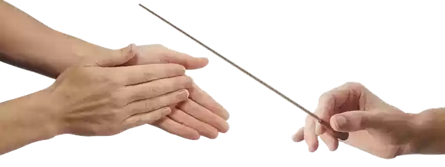 Free download Hands Conductor Musician -  free free photo or picture to be edited with GIMP online image editor