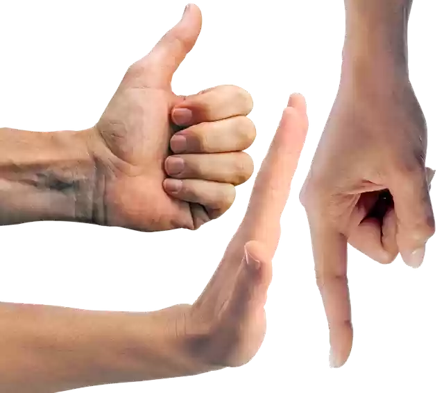 Free download Hands Fingers The Gesture -  free illustration to be edited with GIMP free online image editor