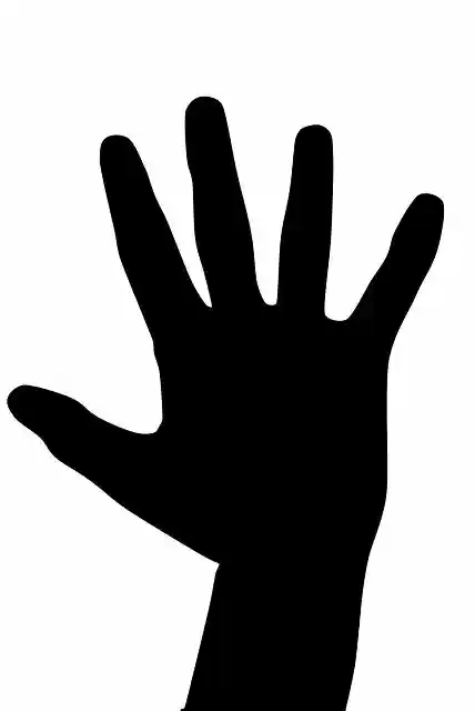 Free download Hand Shadow -  free illustration to be edited with GIMP free online image editor