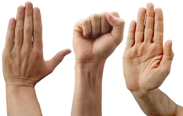 Free download Hands Palm Fingers -  free free photo or picture to be edited with GIMP online image editor