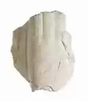 Free download Hand supporting tablet or stela free photo or picture to be edited with GIMP online image editor