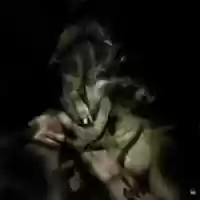 Free download HANN.R  free photo or picture to be edited with GIMP online image editor