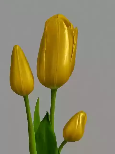 Free download happy mothers day ai generated free picture to be edited with GIMP free online image editor