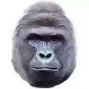 Harambe Zoo  screen for extension Chrome web store in OffiDocs Chromium