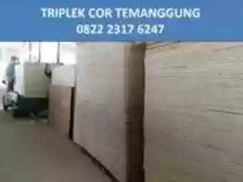 Free download HARGA Grosir 0822 2317 6247, Triplek Cor 9mm  Semarang free photo or picture to be edited with GIMP online image editor