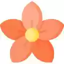 Harmony in Bloom  screen for extension Chrome web store in OffiDocs Chromium