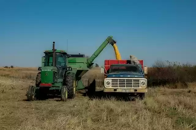 Free download Harvest Fall Crops -  free photo or picture to be edited with GIMP online image editor