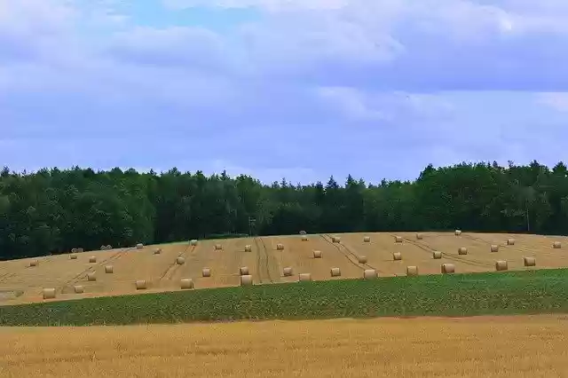 Free download Harvest Straw Bales Agriculture -  free photo or picture to be edited with GIMP online image editor