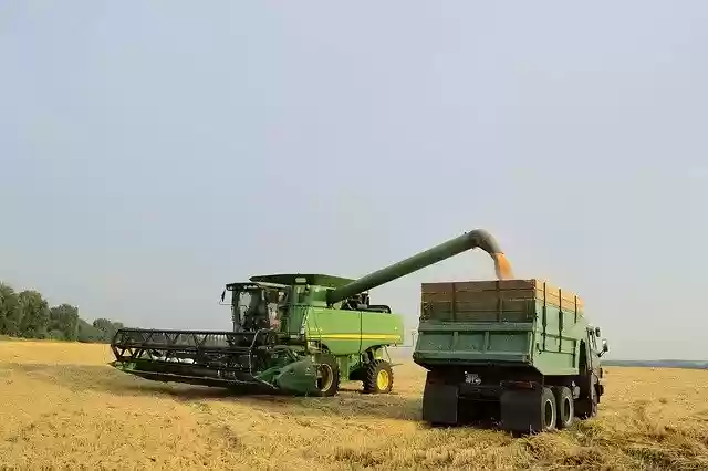 Free download Harvest Ukraine Summer -  free photo or picture to be edited with GIMP online image editor