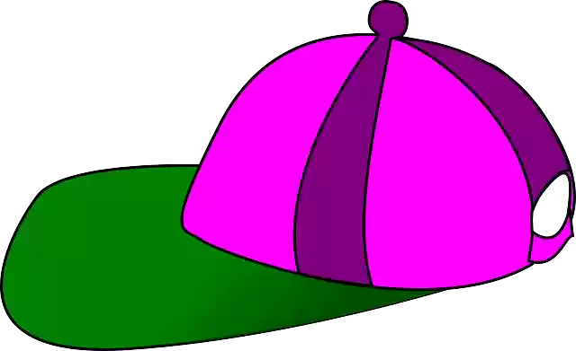 Free download Hat Cap Purple Green - Free vector graphic on Pixabay free illustration to be edited with GIMP free online image editor