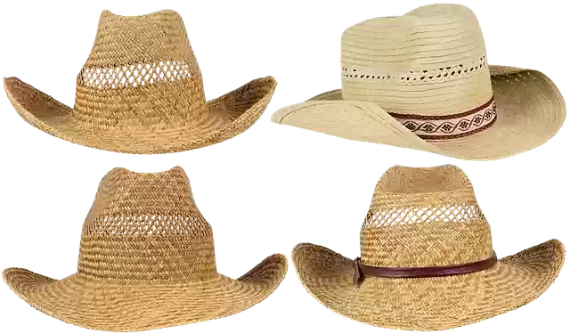 Free download Hat Straw Stetson Cowboy -  free free photo or picture to be edited with GIMP online image editor